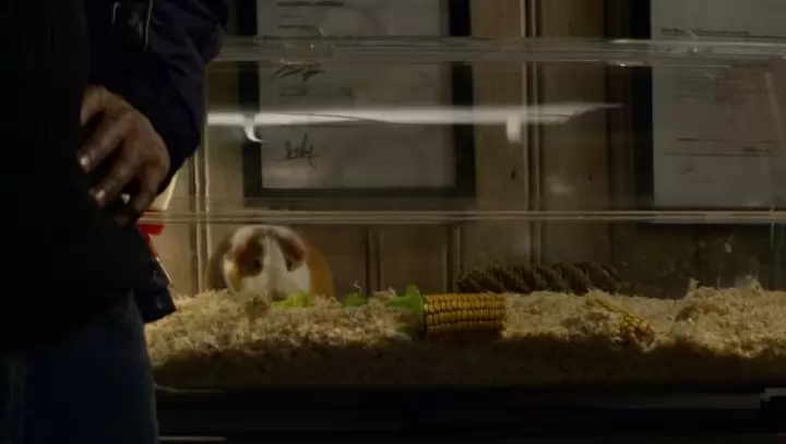 black mirror cobaya